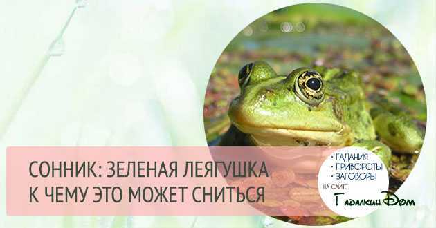 Ночью снится лягушка, к чему может женщине присниться это земноводное