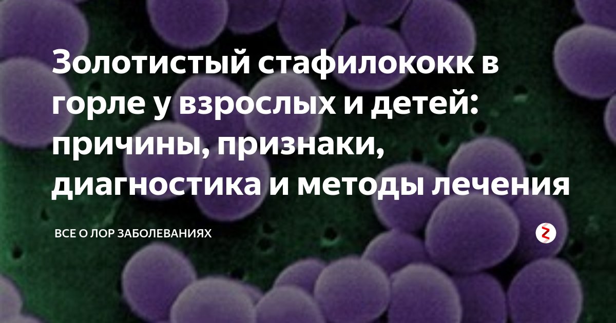 Стафилококк в горле
