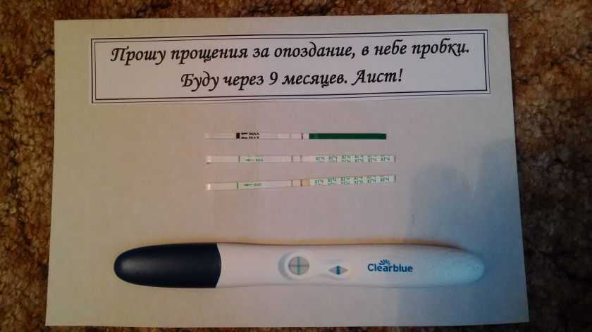 Как подготовить ребенка к рождению второго. главные ошибки