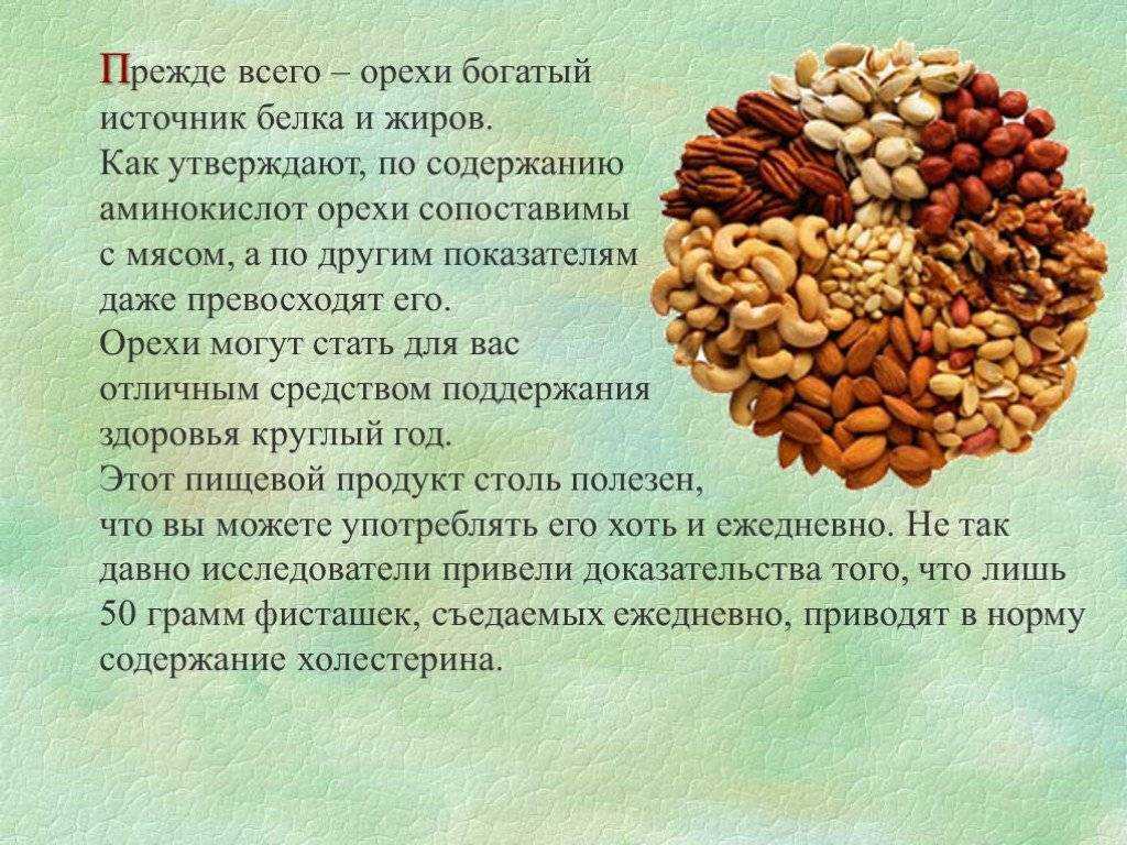 Кедровые орехи: польза и вред, сколько есть, советы по выбору