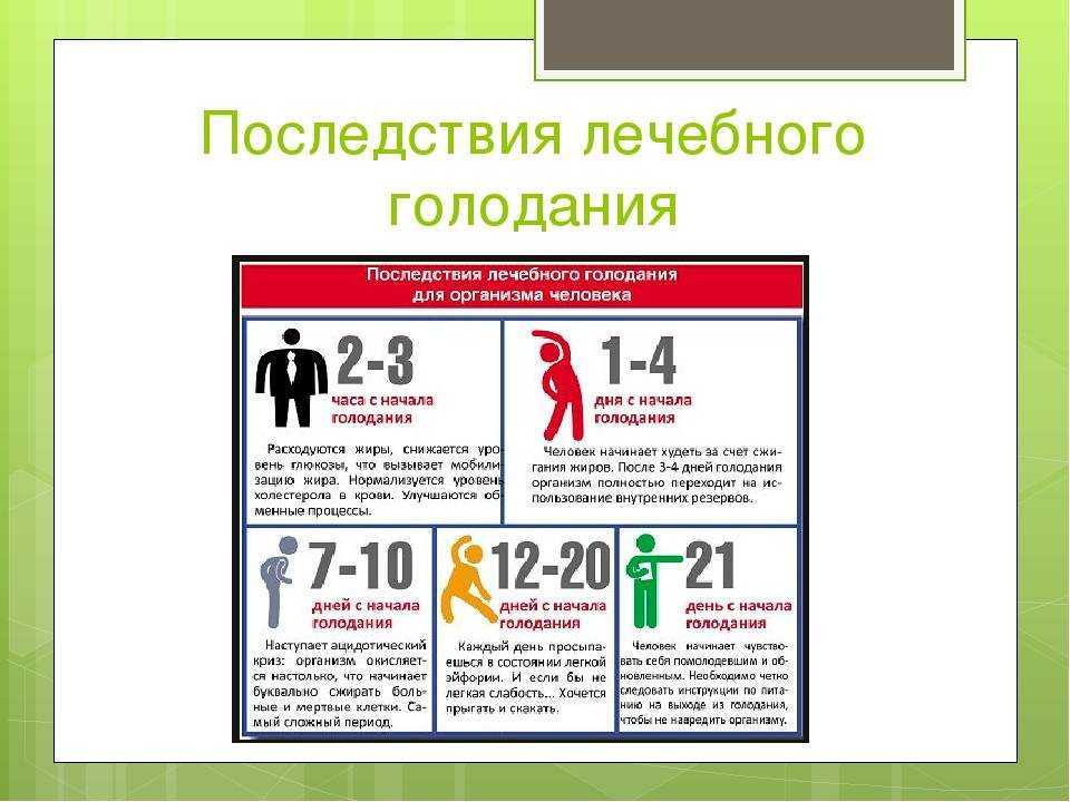 Лишний вес, гиподинамия и сердечно-сосудистые заболевания | образ жизни и риск ссз