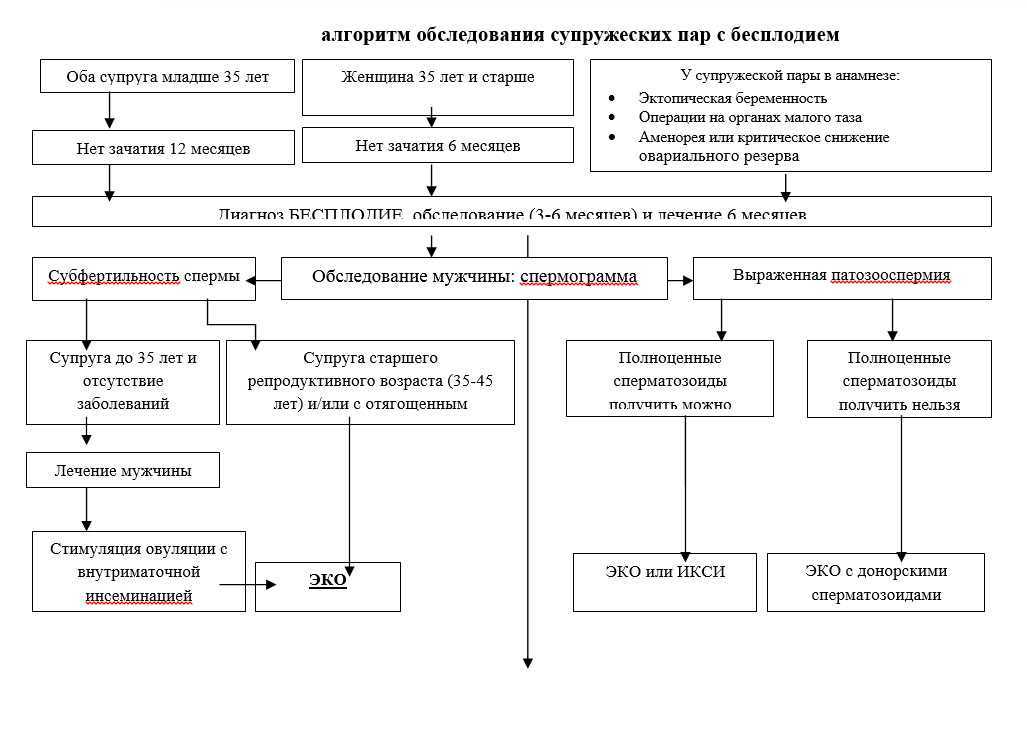 Когда обращаться к репродуктологу и как подготовиться к первой консультации? - reprolife київ