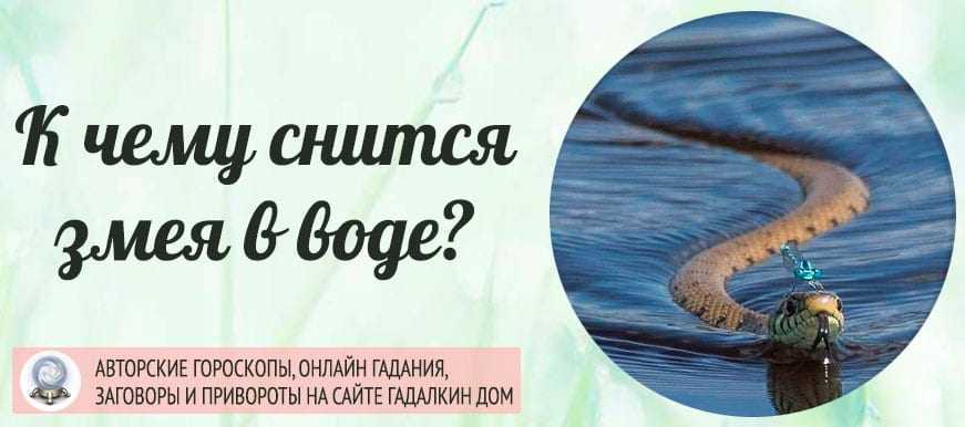 К чему снится змея?