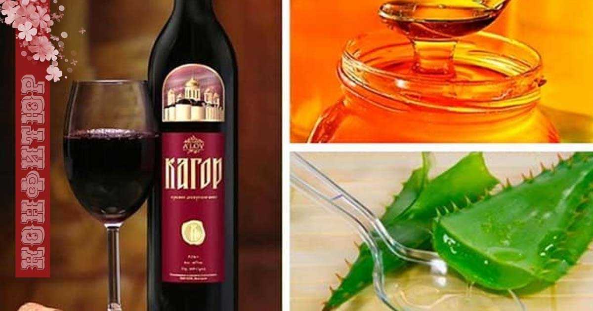 Рецепты настоек из алоэ (столетник), меда и вина
