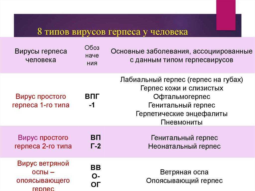 Герпес — большая медицинская энциклопедия