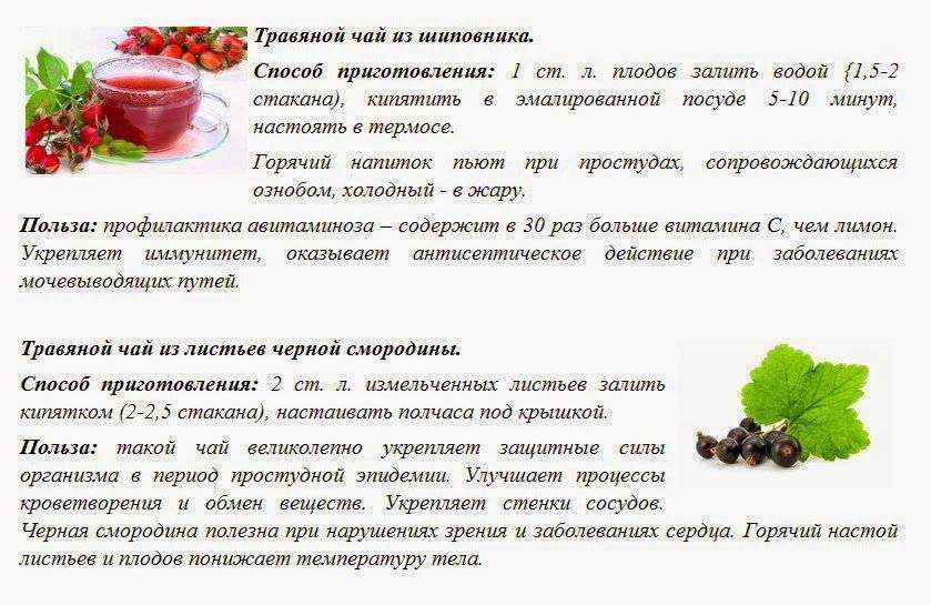Причины заболеваний печени: что может вызвать разрушение печени